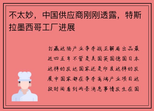 不太妙，中国供应商刚刚透露，特斯拉墨西哥工厂进展