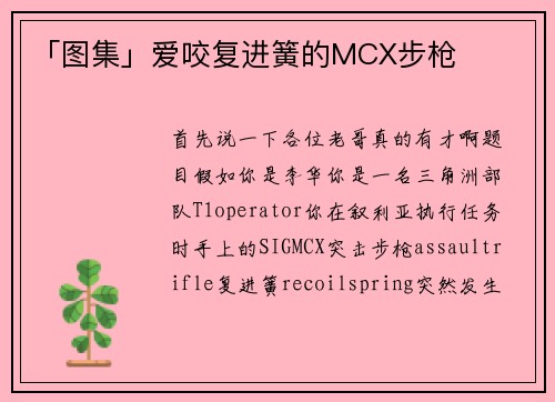 「图集」爱咬复进簧的MCX步枪